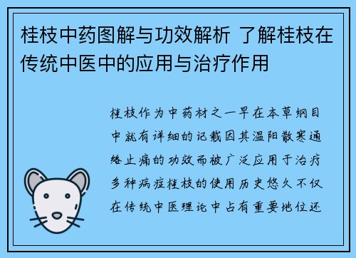 桂枝中药图解与功效解析 了解桂枝在传统中医中的应用与治疗作用